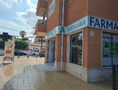 Farmacia Juan Feliu Román